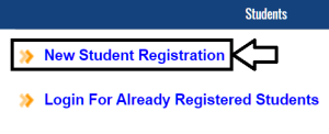 Scholarship online form 2022