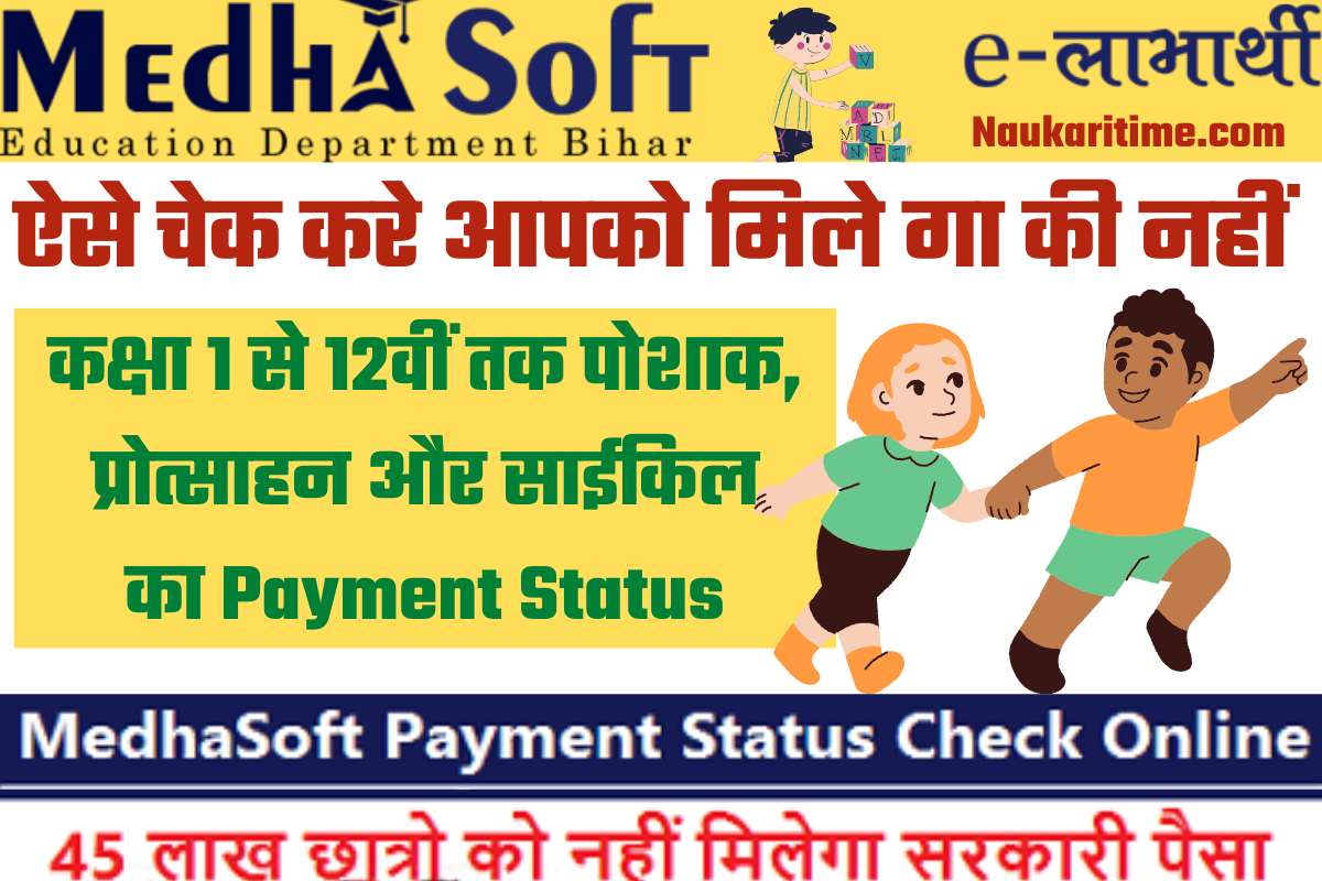 Medhasoft Payment Status: