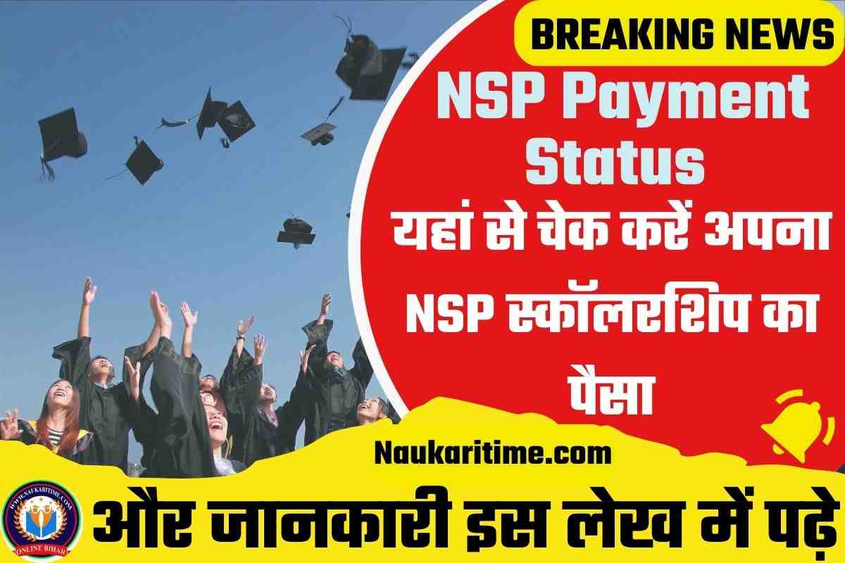 NSP Payment Status Check Online 2023