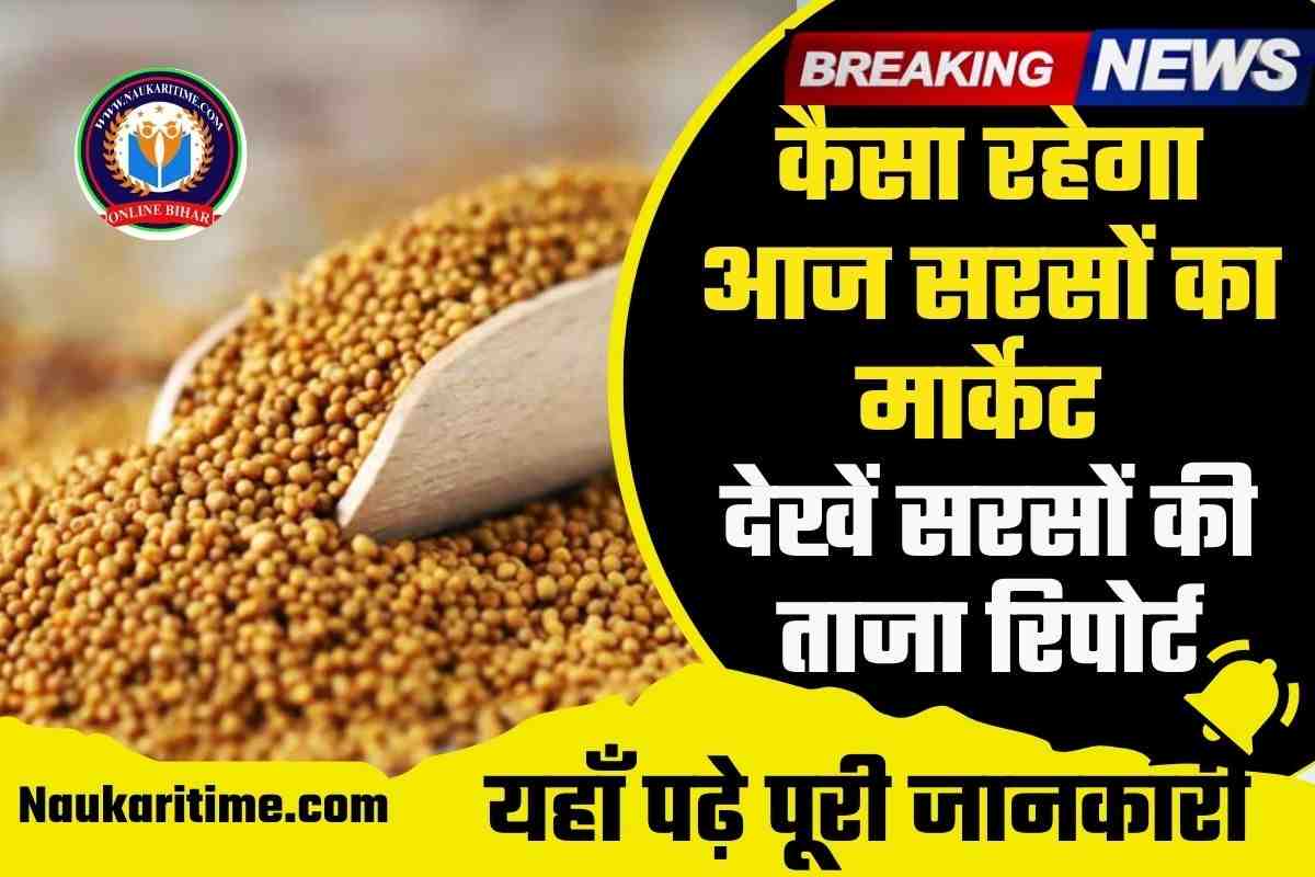 Mustard Price Today 2023