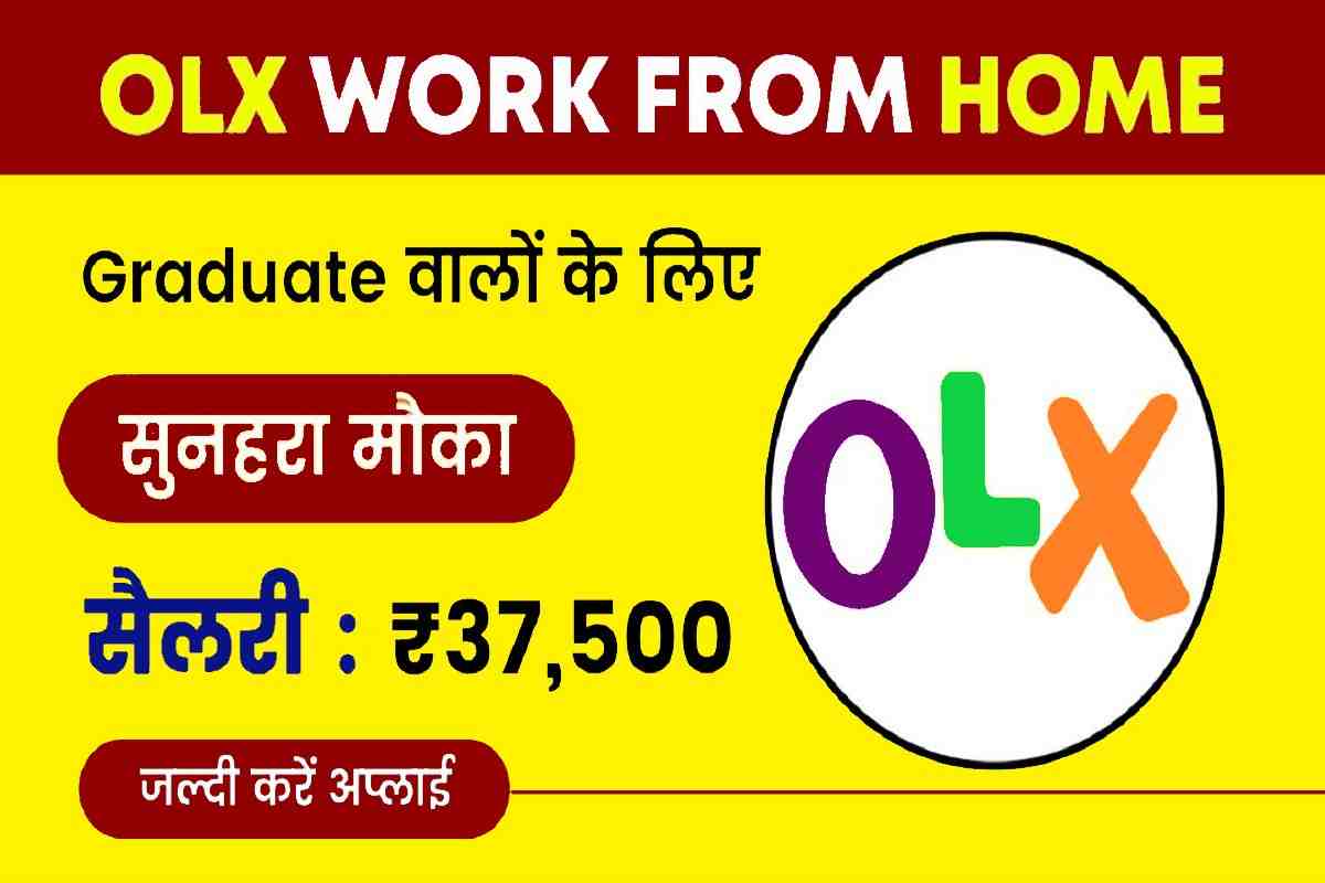 OLX Catalog Manager Recruitment