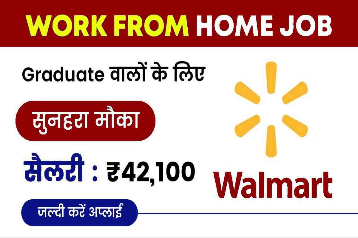 Walmart Work From Home Job 2023