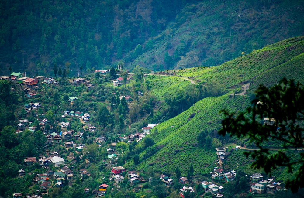 Darjeeling West Bengal