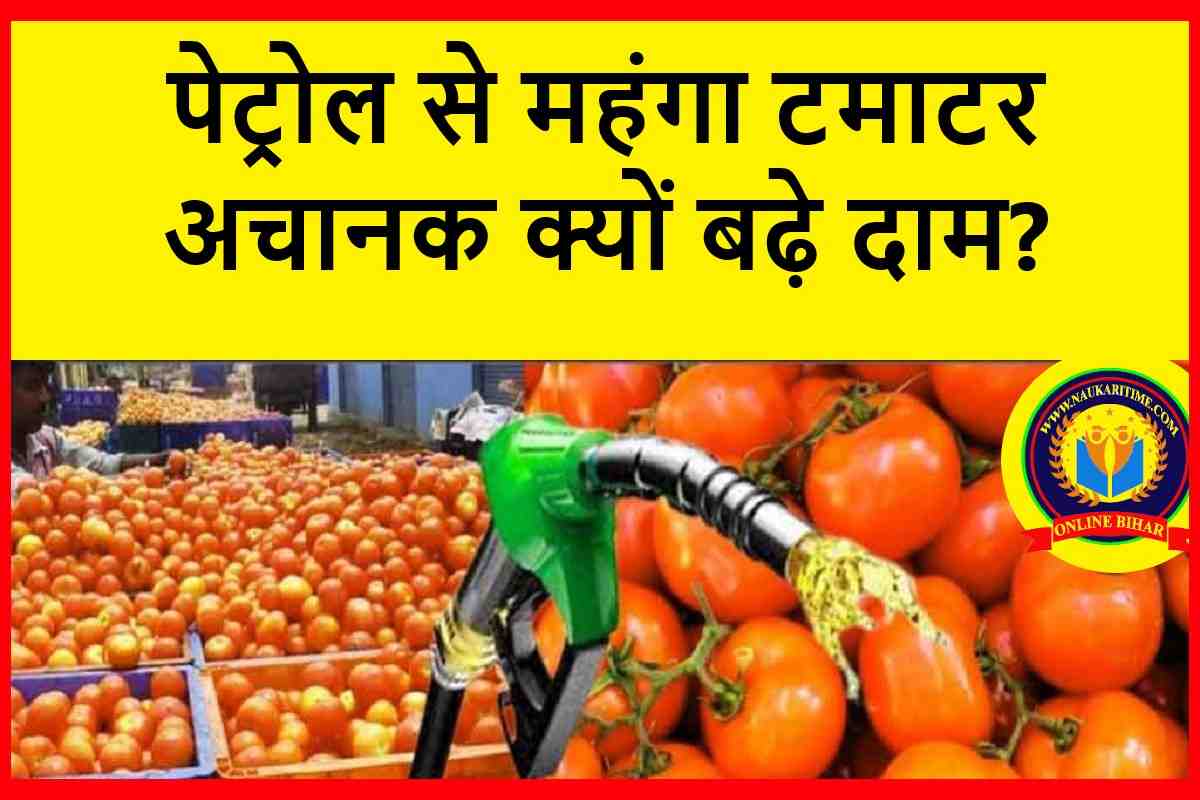 Tomato price in india