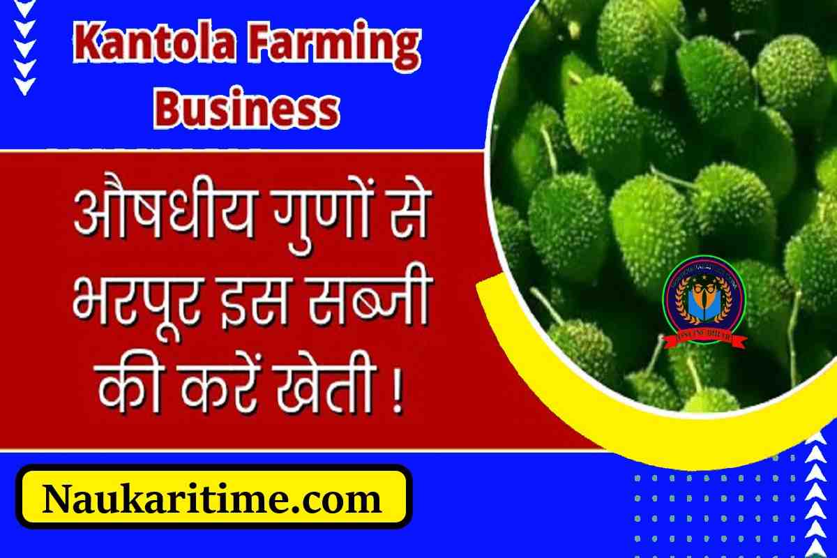 Business Ideas : औषधीय गुणों से भरपूर इस सब्जी की करें खेती