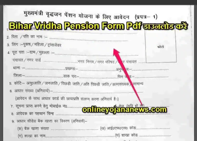 Bihar Vridha Pension Form Pdf 768x550 1