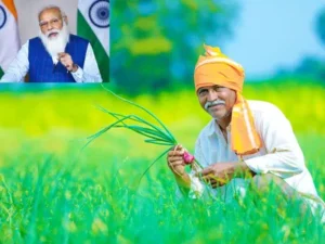 pm kisan nidhi