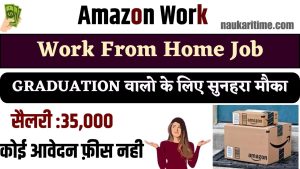 Amazon Work From Home Job